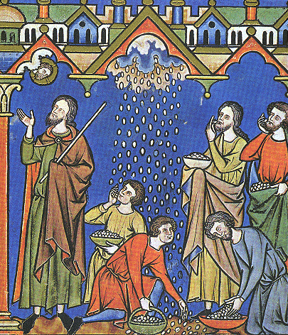 Manna, illuminated manuscript, 1244 to 1254, The Crusader Bible, MS M.638 (fol. 9v), Pierpont Morgan Library of Medieval and Renaissance Manuscripts, New York.