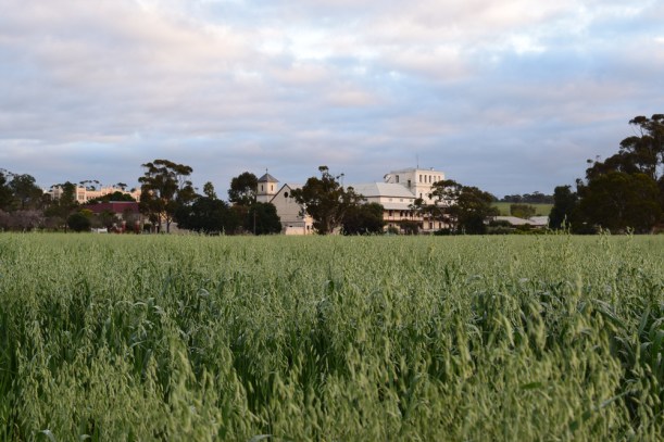 160821-5-New-Norcia-from-the-east